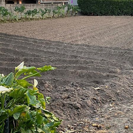 Casinha Da Avo Rosario Διαμέρισμα Juncal  Εξωτερικό φωτογραφία