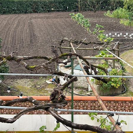 Casinha Da Avo Rosario Διαμέρισμα Juncal  Εξωτερικό φωτογραφία