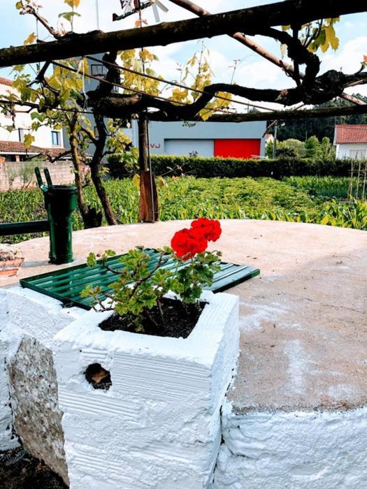 Casinha Da Avo Rosario Διαμέρισμα Juncal  Εξωτερικό φωτογραφία
